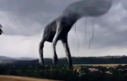 SCP-1717 Meme Template