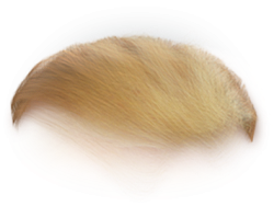 Trump Hair Meme Template