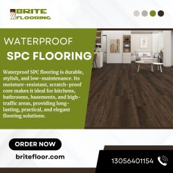 Waterproof SPC Flooring Meme Template