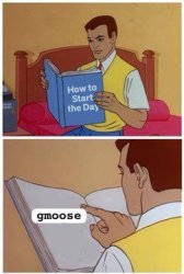 boy reading a book Meme Template