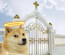 Doge heaven gate Meme Template