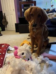 Chrisjoines1 Meme Template