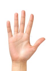 Hand Meme Template