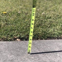 sunshine Meme Template