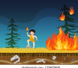 Forest fires Meme Template