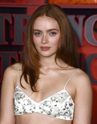 Sadie sink Meme Template