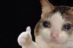 Thumps up crying cat Meme Template