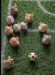 Ratones Meme Template