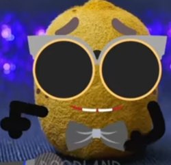 Kiwi wearing a sunglasses Meme Template