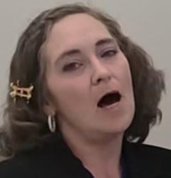 Benjamin Schauer lady Meme Template