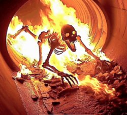 Burning skelton Meme Template