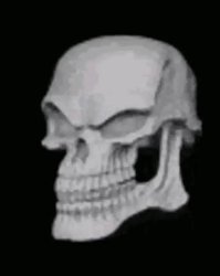 Smirking Skull Meme Template