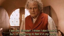 am old, Gandalf. I know I don't look it, but I'm beginning to fe Meme Template