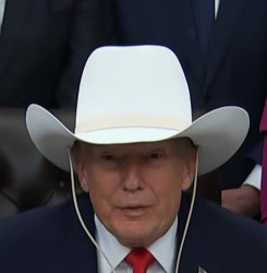 Cowboy Trump Meme Template