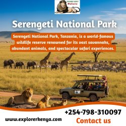 Serengeti National Park Meme Template