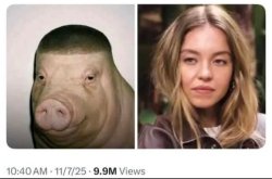 Average Eastern European Couple Meme Template