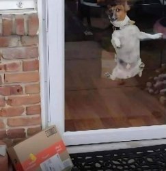 Chrisjoines1 Meme Template