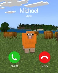 Minecraft Michael Meme Template