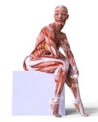 thin skin liberal Meme Template