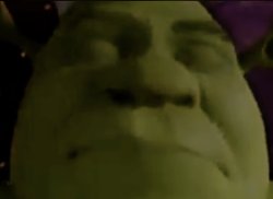 Shrek Meme Template