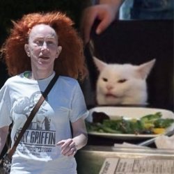 Kathy Griffin and Smudge Meme Template