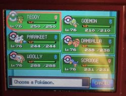 Heartgold team Meme Template