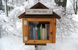 Little Free Library Meme Template