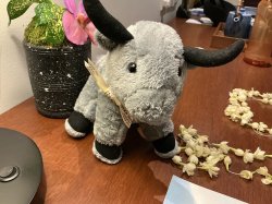 I don’t know what I’m doing with my life Meme Template