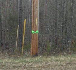 Chrisjoines1 Meme Template