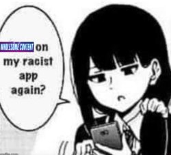wholesome content on my racist app again Meme Template
