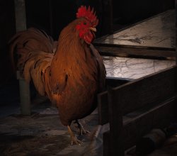 Scrappy Meme Template