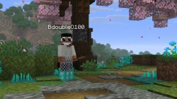 Regretful BDubs Meme Template