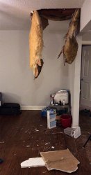 Home renovation fail Meme Template