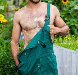 Book-Tok Farmer Meme Template