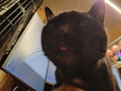 Peanuts Father Meme Template