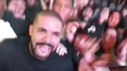 Blurry Drake shouting Meme Template