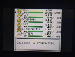 Yellow team Meme Template