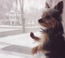 Chrisjoines1 Meme Template