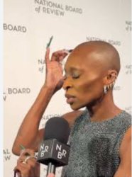 the concept of Elphaba Meme Template