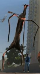 Slender goat Meme Template