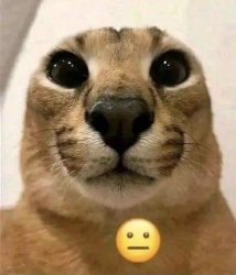 floppa, big Meme Template