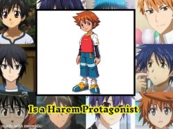 Who is a harem protagonist ? Meme Template