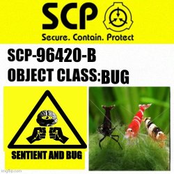 SCP-96420-B Meme Template