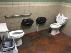 Dual toilets Meme Template