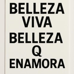 BELLEZA VIVA BELLEZA Q ENAMORA Meme Template