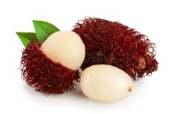 Rambutan Meme Template