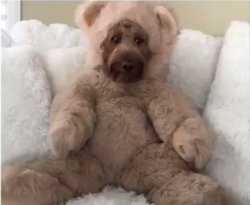 Chrisjoines1 Meme Template