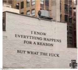 reaction temp Meme Template