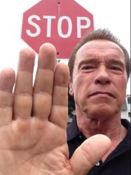 Arnold Stop Meme Template