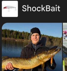 shock bait Meme Template